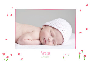 Geburtskarten Mohnblume rosa