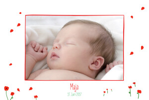 Geburtskarten Mohnblume 4 Fotos rot