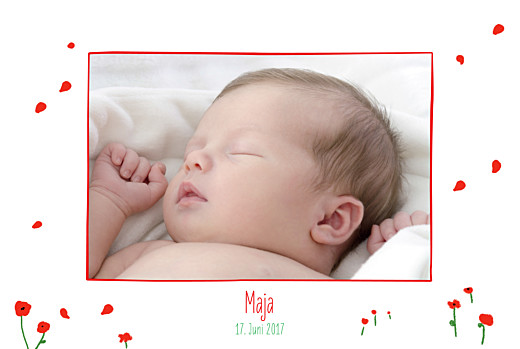 Geburtskarten Mohnblume 4 Fotos rot - Seite 1