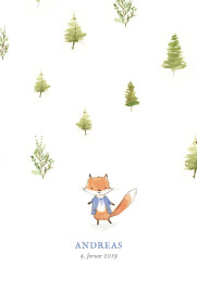 Geburtskarten Fuchs Aquarell Beidseitig Blau