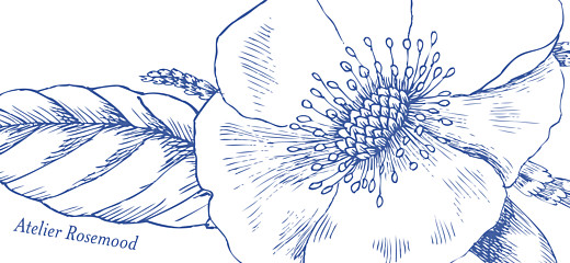 Anhänger Hochzeit Floralie blau - Seite 2 Anhänger Hochzeit Floralie blau - Seite 2