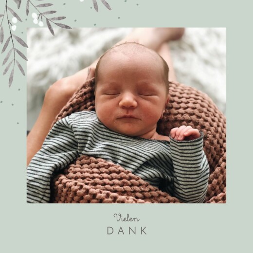 Dankeskarten Kleine zweige grün Dankeskarten Kleine zweige grün