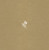 Beilegekarte Blumen aquarell beige Beilegekarte Blumen aquarell beige