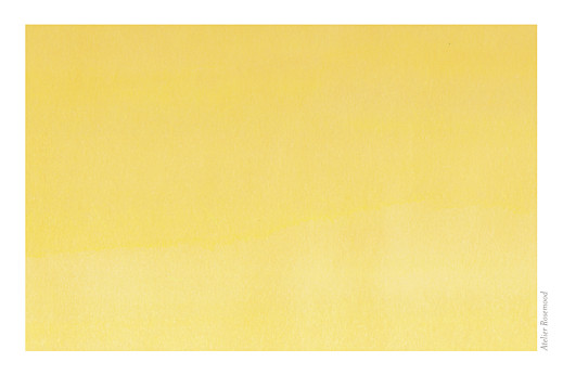 Grußkarten Aquarell Gelb - Rückseite