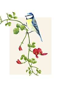 Antwortkarte hochzeit naturalis hoch weiß Antwortkarte hochzeit naturalis hoch weiß