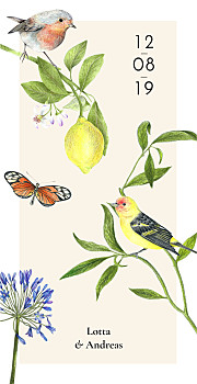Menükarte naturalis weiß Menükarte naturalis weiß
