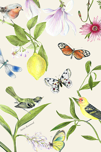 Tischkarten Hochzeit Naturalis weiß - Seite 2 Tischkarten Hochzeit Naturalis weiß - Seite 2