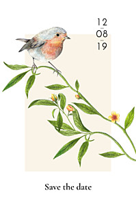 Save-the-date karten ohne foto naturalis weiß Save-the-date karten ohne foto naturalis weiß