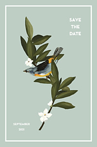 Save-the-date karten ohne foto bahia blau Save-the-date karten ohne foto bahia blau