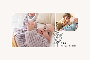 Geburtskarten junge kleiner sprössling beige Geburtskarten junge kleiner sprössling beige