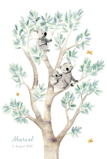 Geburtskarten 3 koalas Weiß - Vorderseite Geburtskarten 3 koalas Weiß - Vorderseite