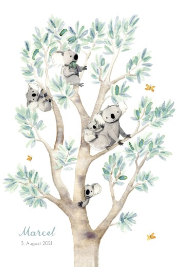 Geburtskarten 5 Koalas Weiß - Vorderseite