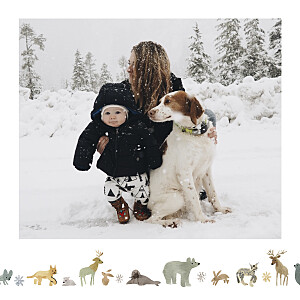 Weihnachtskarten tundra weiß Weihnachtskarten tundra weiß