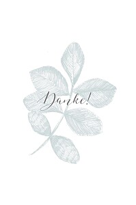 Dankeskarten im grünen blau Dankeskarten im grünen blau