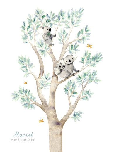Poster groß Koalas Weiß - Vorderseite Poster groß Koalas Weiß - Vorderseite