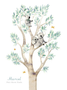 Poster klein Koalas Weiß