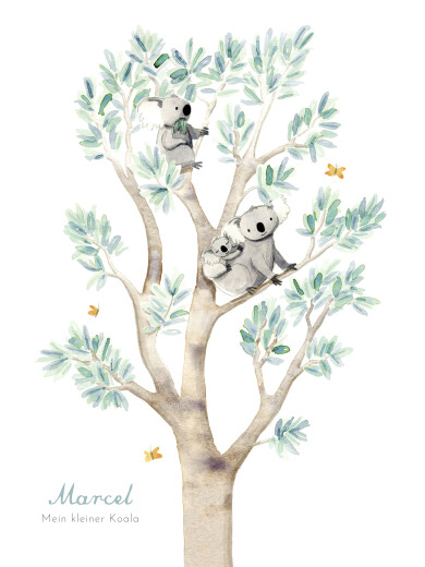 Poster klein Koalas Weiß - Vorderseite