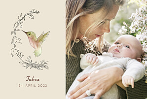 Geburtskarten beige kleiner kolibri beige Geburtskarten beige kleiner kolibri beige