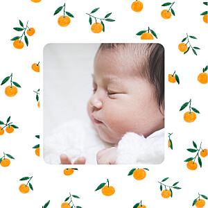 Geburtskarten orange zitronentraum clementinen Geburtskarten orange zitronentraum clementinen