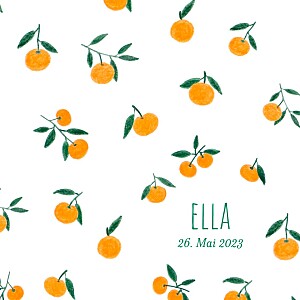 Geburtskarten orange zitronentraum (leporello) clementinen Geburtskarten orange zitronentraum (leporello) clementinen
