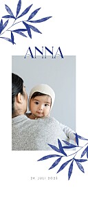 Geburtskarten blau lorbeer blau Geburtskarten blau lorbeer blau