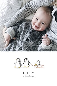 Geburtskarten winterliche designs kleine eisscholle (hoch) weiß Geburtskarten winterliche designs kleine eisscholle (hoch) weiß