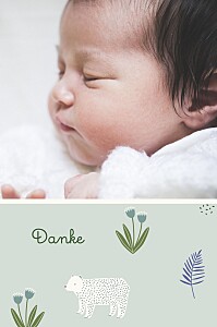 Dankeskarten bärchen blau Dankeskarten bärchen blau