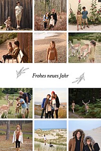 Weihnachtskarten neujahrskarten kleiner sprössling (12 fotos) weiß Weihnachtskarten neujahrskarten kleiner sprössling (12 fotos) weiß
