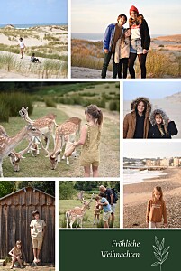 Weihnachtskarten grün kleiner sprössling (7 fotos) grün Weihnachtskarten grün kleiner sprössling (7 fotos) grün