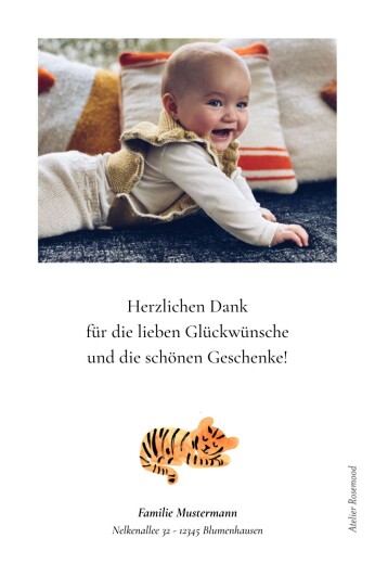 Dankeskarten Kleiner Tiger Weiß - Rückseite Dankeskarten Kleiner Tiger Weiß - Rückseite