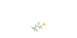 Platzkarte taufe weiß blumenrahmen weiß Platzkarte taufe weiß blumenrahmen weiß