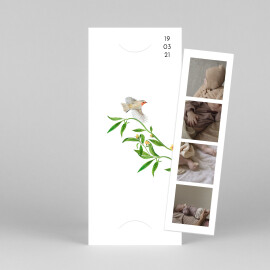 Geburtskarten Naturalis (Duo) Weiß