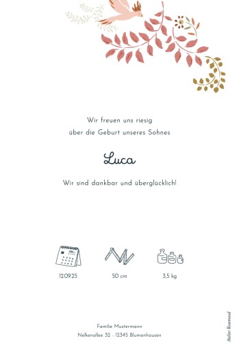 Geburtskarten Kleines Äffchen (Bogenform) Rosa - Rückseite Geburtskarten Kleines Äffchen (Bogenform) Rosa - Rückseite